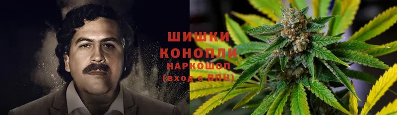 Конопля Bruce Banner  купить закладку  Новоалтайск 